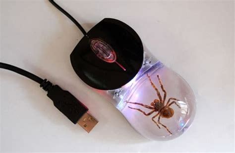 Spider Mouse Computer Mouse Novelty Gadgets Cool Gadgets