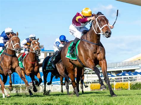National Broodmare Sale Bound Another Dollar Claims The Premiers Cup At