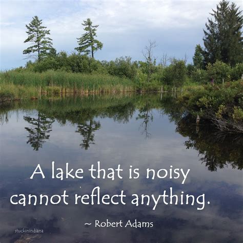 A Lake That Is Noisy Cannot Reflect Anything Robert Adams Quote