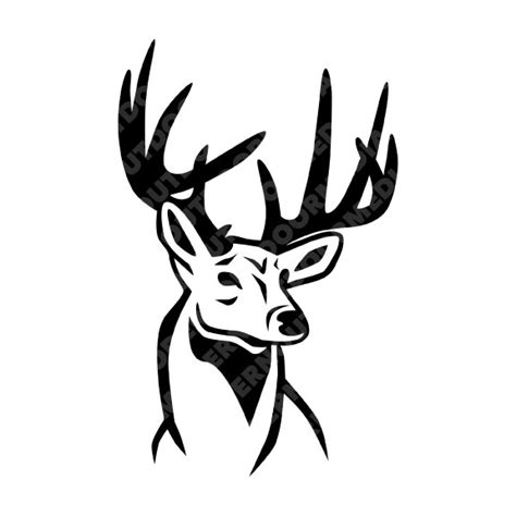 Whitetail Deer Vector Logo Modern Outdoor Media