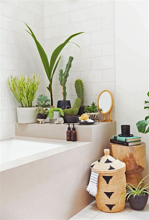 Planta de agua de bambú casera en un frasco de agua 54468386. 20 Chic And Minimalist Boho Bathroom Design Ideas | Home Design And Interior