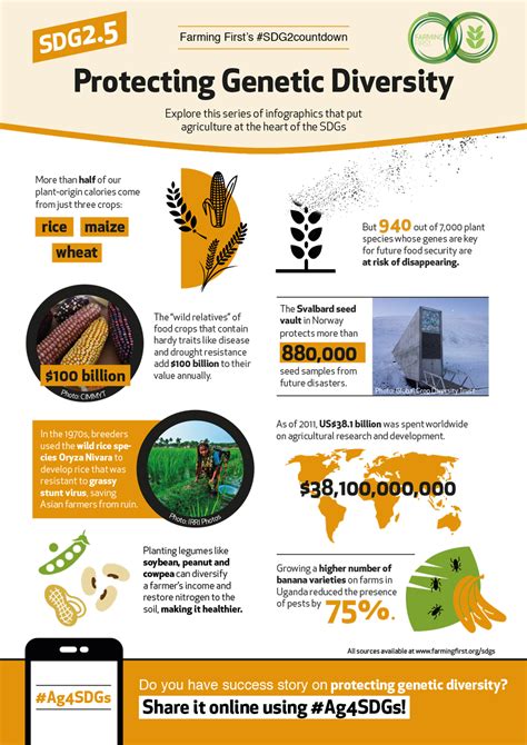 Infographic Protecting Genetic Diversity Genetics Infographic