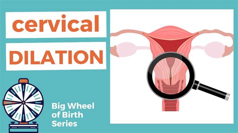 Dilation Of Cervix What Does Cervical Dilation Mean Youtube