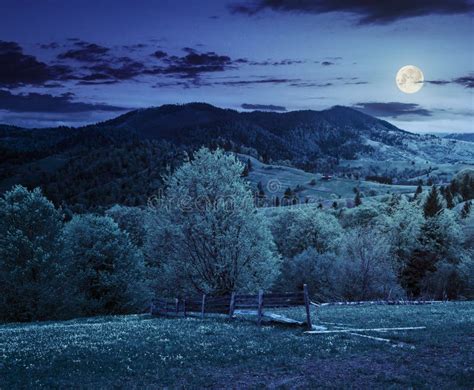 Fence On Hillside Meadow In Mountain At Night Stock Image Image Of