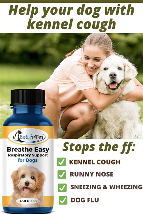 What To Do About Kennel Cough Home Remedies Home And Garden Reference
