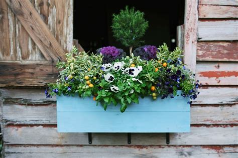 Window Box Ideas 13 Colourful Gardening Ideas For Window