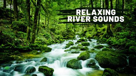 Relaxing River Sounds Water Flow Natural Peaceful Water Sound For