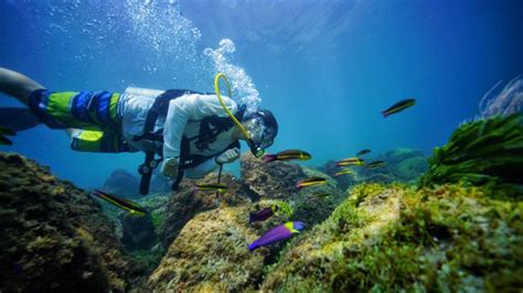 Scuba Diving Catalina Islands Sailing Guanacaste