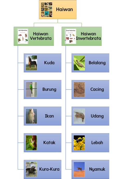 Latihan Sains Tahun 4 Haiwan Vertebrata Imagesee