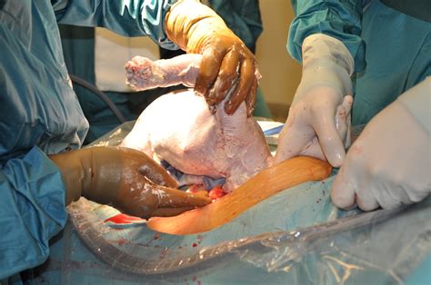 A subreddit for 'straight', bicurious boys and the people that enjoy watching them give in to their attraction to 'gay' experiences. All Because Two People Fell In Love