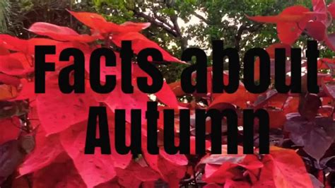 Interesting Facts About Autumn Youtube Fun Facts Facts Autumn Nature