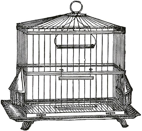 12 Vintage Bird Cage Clip Art Vintage Bird Cage Vintage Birds Clip