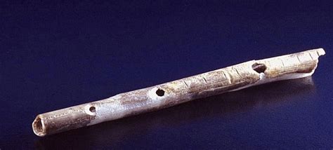 The Worlds Oldest Musical Instrument Is Revealed