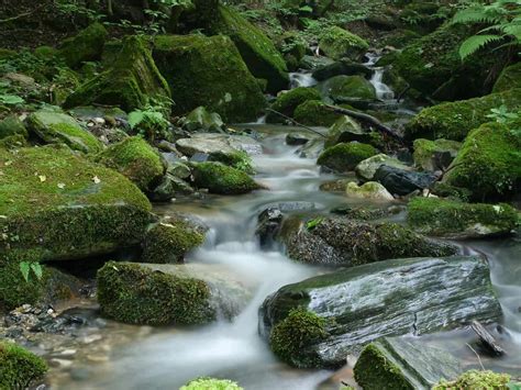 Maybe you would like to learn more about one of these? Einen Bachlauf anlegen - Wasser im Garten - nachgeharkt