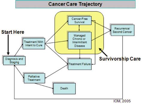 Cancer Care Trajectory And Survivorship Care Figure Adapted From The