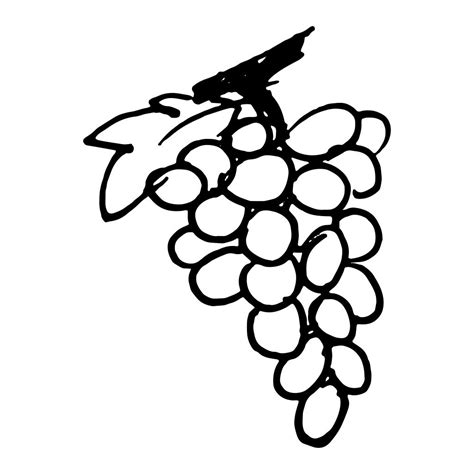 We are always adding new ones, so make sure to come back and check us out or make a suggestion. Grapes Coloring Pages | Fruit coloring pages, Coloring ...