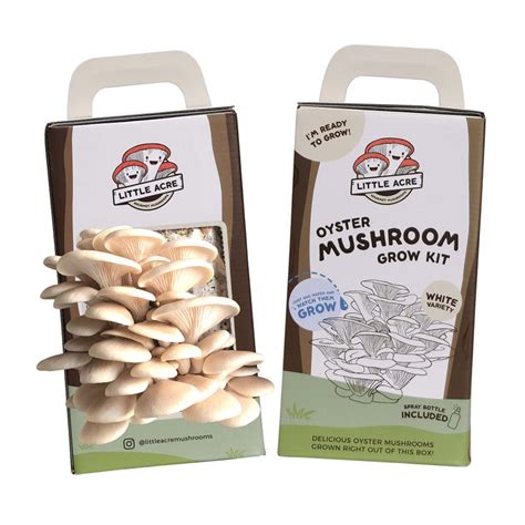 Mushroom Kit Australia Buy Mushroom Growing Kits Little Acre