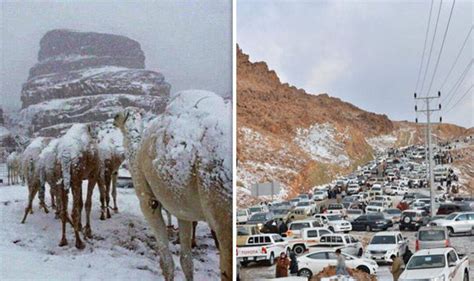 Saudi Arabia Snow Storm Desert Hit By Snow As Middle East World