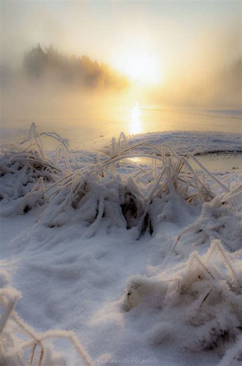 Hazy Sun Winter Scenery Sunset Photography Winter Images