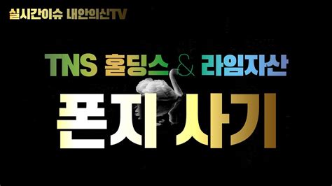 이 인류의 오래된 사기술은 여전히. 폰지사기 (TNS 홀딩스 & 라임자산운용) 트레이더 내안의神 - YouTube