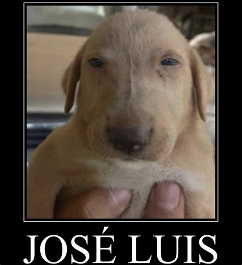José Luis (original meme) | José Luis | Know Your Meme