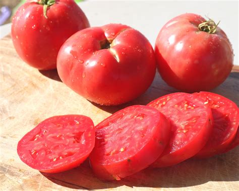 Pink Girl Hybrid Vfast Tomato Seeds — Seeds N Such