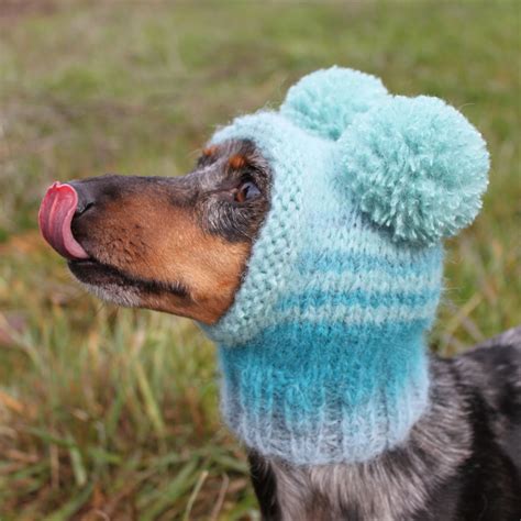 Knitted Dog Hat Sweet Dogs Dog Hat Mini Dachshund