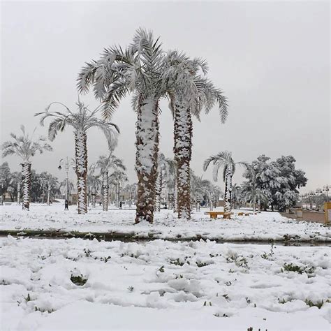 Snowfall In Saudi Arabia Desert