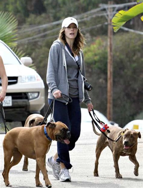 Celebrities Walking Their Dogs