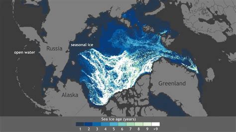 Arctic Sea Ice Growing Younger Thinner Youtube