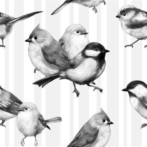 Sketch Of A Bird Graphics Cute Little Bird Pencil Drawing Print