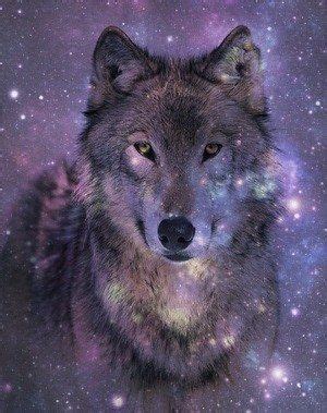 #wolf #lobo #galaxy #girlpower #girl #woman #sexygirls image by milene piva. lobo en aurora | Galaxy wolf, Wolf art