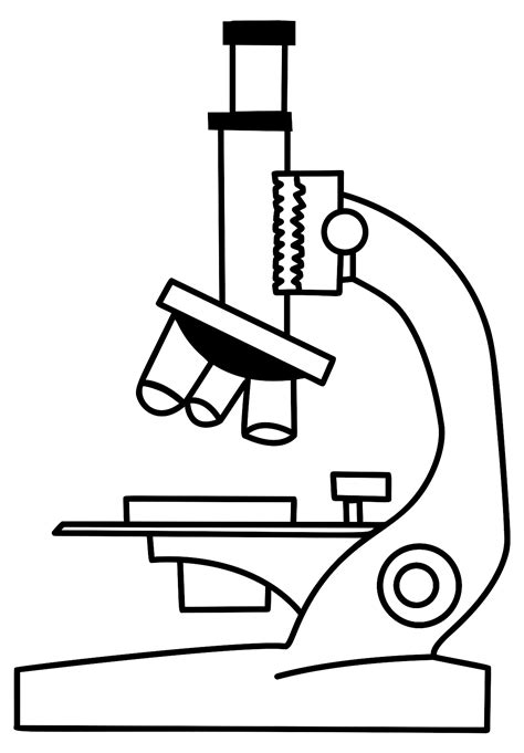 Mikroskop Abbildung Public Domain Vektoren