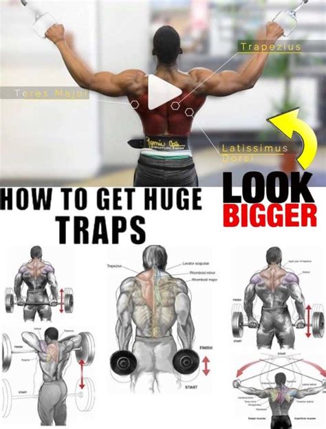 Traps How To Exercises