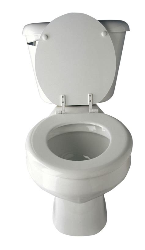 Preventing Clogged Toilets Thriftyfun