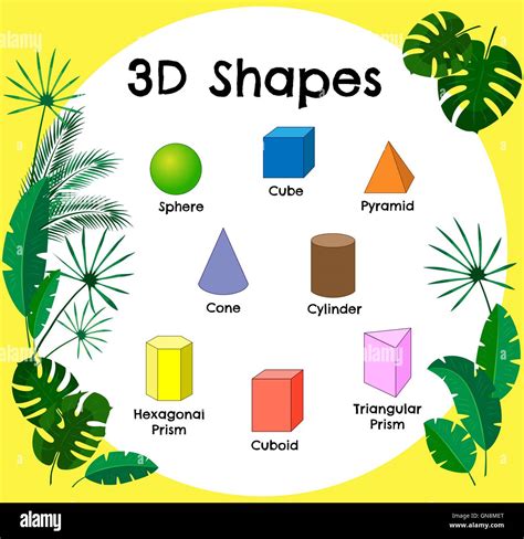 Learning The 3d Shapes For Kids Vector Illustration C