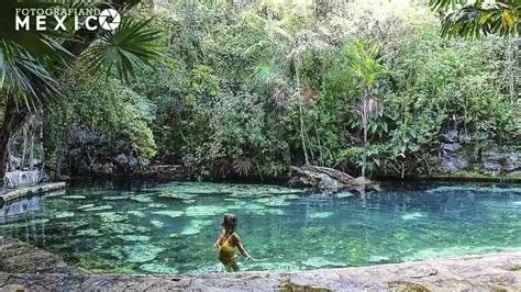 Cenote Escondido En Tulum C Mo Llegar Horario Y Su Precio