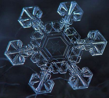 His inexpensive homemade rig delivers extraordinary magnification, revealing an incredible amount of detail in the intricate crystals of ice. Extreme Close-Up of Snowflake | Snowflakes real, Amazing ...