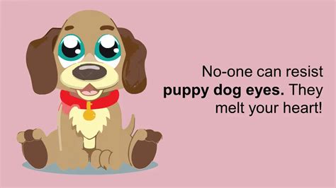 Puppy Dog Eyes Min World English Blog