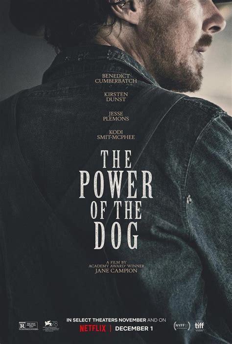 Review The Power Of The Dog Cineuropa