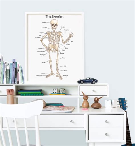 Human Skeleton Poster For Kids Human Bones Downloadable Prints Etsy