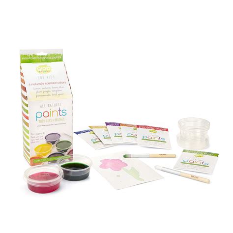 All Natural Paint Kit Glob All Natural Paint Kit Uncommongoods