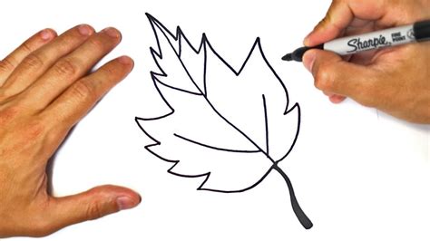 How To Draw A Leaf For Kids Leaf Easy Draw Tutorial