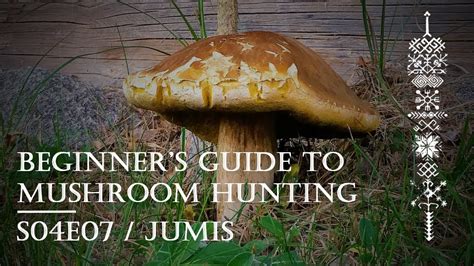 Beginners Guide To Mushroom Hunting S04e07 Jumis Youtube