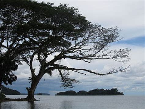 Zwischen den beiden seen und der westlichen pazifikküste liegt eine kette von teilweise noch aktiven vulkanen, die höchsten von. Nicaragua plant eigenen "Panama-Kanal", Biologen warnen ...