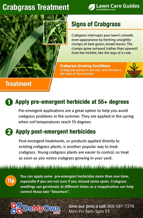 How To Get Rid Of And Kill Crabgrass Treatment And Control