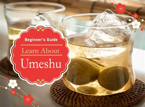 umeshu introduction to japanese plum wine jss