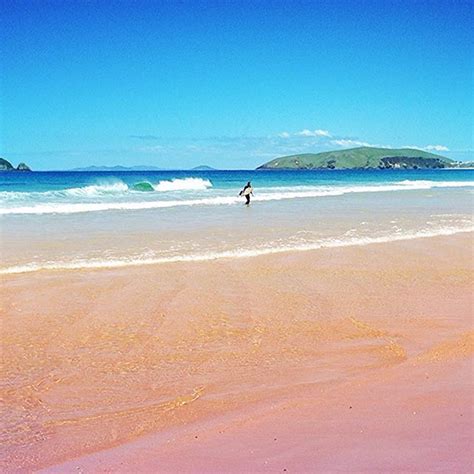 S O L I T U D E A Magic Pink Sand Beach Up The Top Of New Zealands
