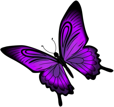 Purple Butterfly PNG Clip Art | Butterfly clip art, Butterfly watercolor, Butterfly coloring page