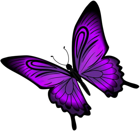 Are you searching for 3d butterfly png images or vector? Purple Butterfly PNG Clip Art | Butterfly clip art ...
